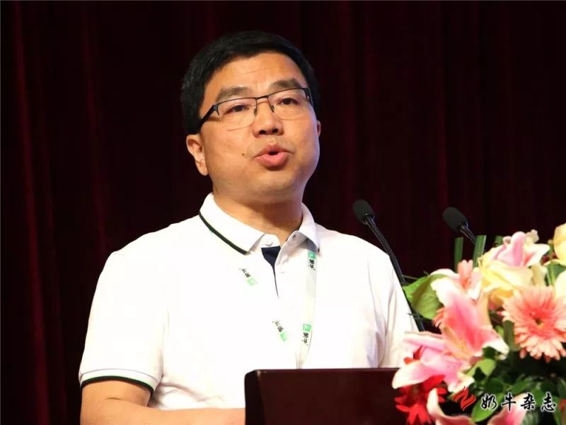 王中王一平特肖，揭秘第100期的秘密與策略，揭秘第100期秘密與策略，王中王一平特肖獨家解析