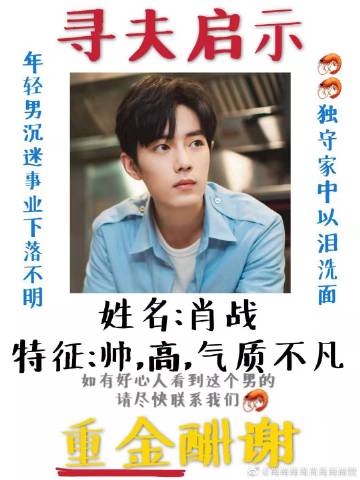 一肖一碼一一肖一子善，探尋命運(yùn)密碼與智慧之光的完美結(jié)合，命運(yùn)密碼與智慧之光，一肖一碼一一肖一子善的探尋