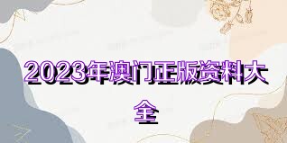 澳門資料大全正版資料查詢，探索澳門的文化與歷史深度之旅，澳門文化與歷史深度探索，正版資料大全及查詢指南