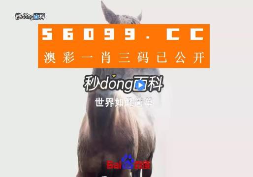 香港內部公開資料一碼，深度解析與探索，香港內部公開資料一碼深度解析與探索揭秘