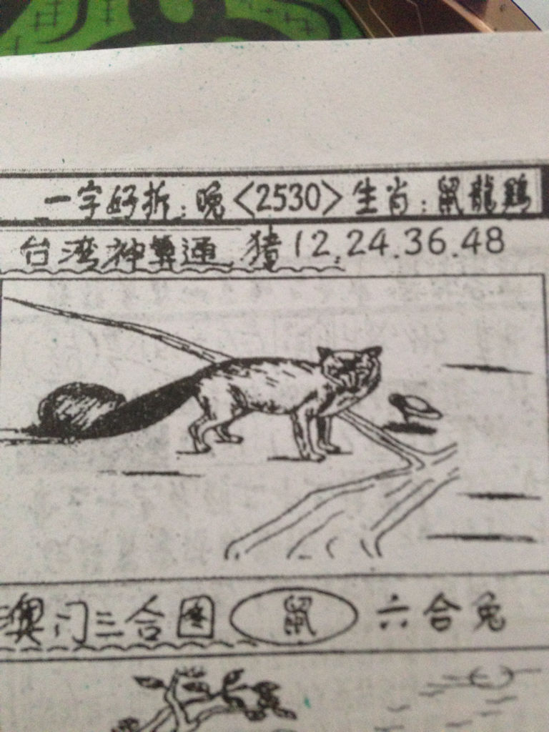 揭秘生肖奧秘，看圖猜一生肖劉伯溫的傳奇故事，揭秘生肖奧秘，劉伯溫傳奇故事中的生肖之謎探索