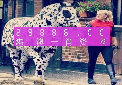 王中王一肖一特一中香港，探索關(guān)鍵詞背后的故事，香港關(guān)鍵詞背后的故事探索，王中王一肖一特一中