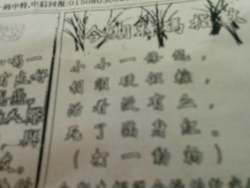 揭秘劉伯溫的一肖一特，探尋神秘傳奇背后的真相，劉伯溫傳奇揭秘，揭秘生肖之謎與獨(dú)特特質(zhì)背后的真相