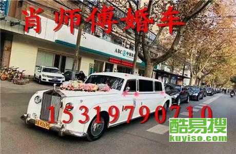 王中王車奪平特一肖免費——深度解析與探索，王中王車奪平特一肖，深度解析與免費探索