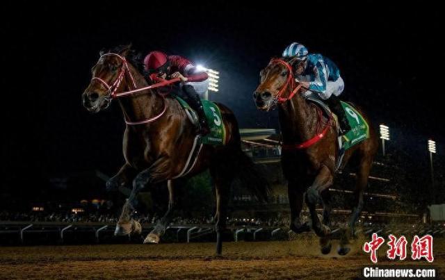香港王中王一肖中特馬，探索背后的奧秘，香港王中王一肖中特馬背后的奧秘探索