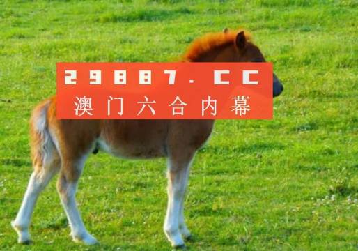 新奧門一肖一馬平特大全，揭秘熱門關(guān)鍵詞背后的故事，揭秘新澳門熱門關(guān)鍵詞背后的故事，一肖一馬平特大全