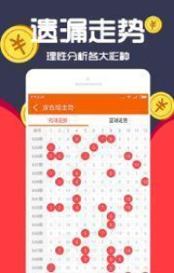 王中王一肖十，深度解析與SEO優(yōu)化策略，王中王一肖十深度解析與SEO優(yōu)化策略探討