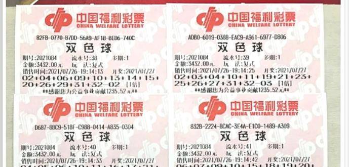王中王084期指一生肖，解讀背后的秘密與生肖運勢分析，王中王084期生肖揭秘，秘密解讀與運勢展望