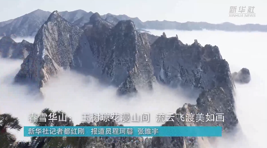 澳門最精準龍門，探索真正的精準之道，澳門最精準龍門，揭秘真正的精準之道