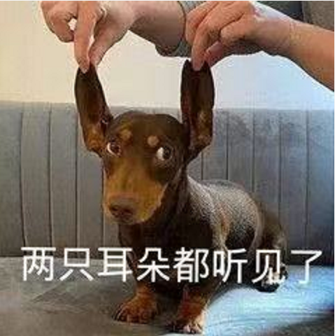王中王四不象必中一肖，揭秘背后的秘密與策略，揭秘王中王四不象必中一肖背后的秘密與策略之道