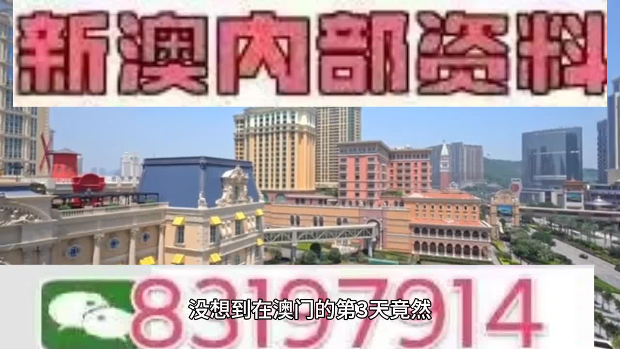 新澳門今晚必開一肖一特，探索生肖與特碼的魅力，澳門生肖特碼探索，今晚必開一肖一特之魅力
