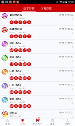 一碼一肖，揭秘背后的秘密與探索其獨(dú)特魅力，揭秘一碼一肖背后的秘密與獨(dú)特魅力探索