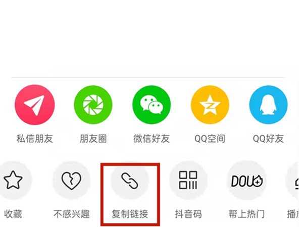 白小姐王中王中特一肖，神秘傳奇與SEO探索，神秘傳奇與SEO探索，白小姐王中王中特一肖的奧秘