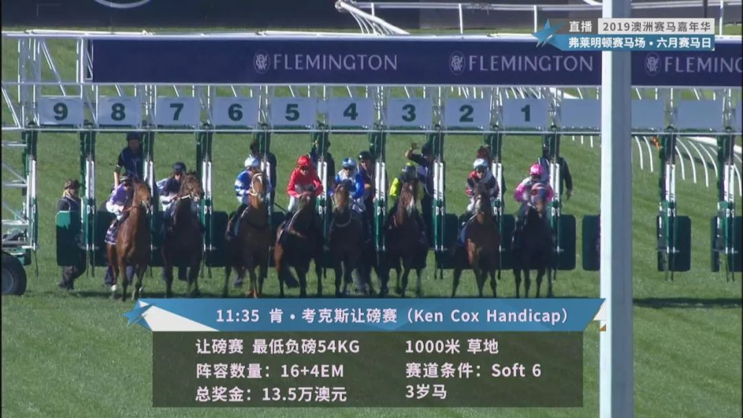 賽馬澳門六月開獎結果，探索與期待，澳門六月賽馬開獎揭曉，探索結果引期待
