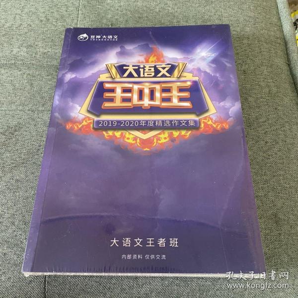 王中王資料2019一肖，揭秘生肖運(yùn)勢與特性，揭秘生肖運(yùn)勢與特性，王中王資料2019一肖解析