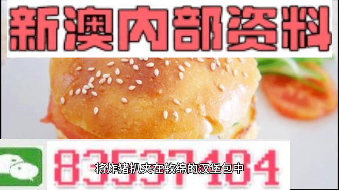 2025新澳正版資料精準(zhǔn)解析，2025新澳正版資料精準(zhǔn)解析手冊