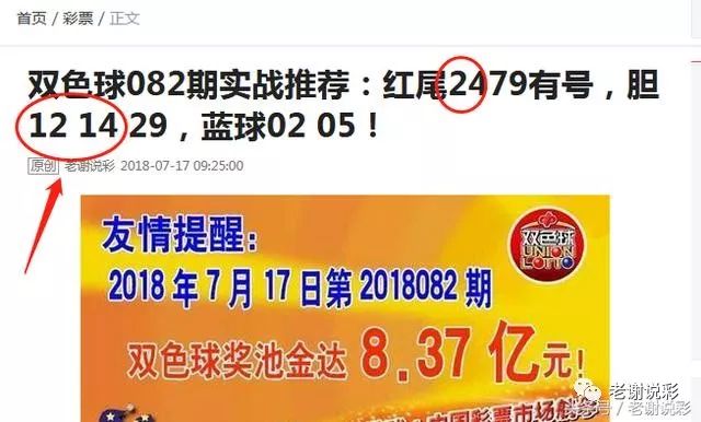 王中王082期指一生肖——探尋生肖魅力，洞悉運勢奧秘，探尋生肖魅力，揭秘運勢奧秘——王中王生肖運勢解析 082期