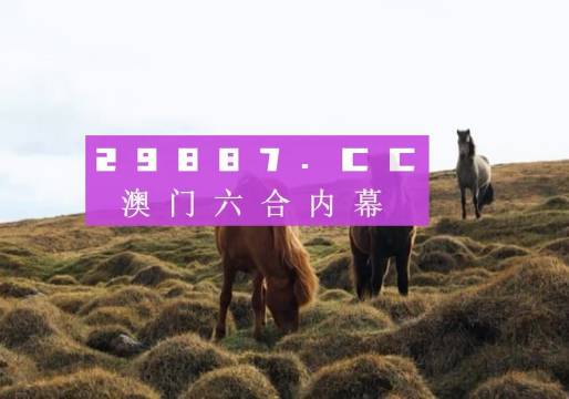 澳門六開獎結(jié)果2023開獎記錄查詢網(wǎng)站——全面解析與最新資訊，澳門六開獎結(jié)果最新解析與資訊，全面查詢2023年開獎記錄