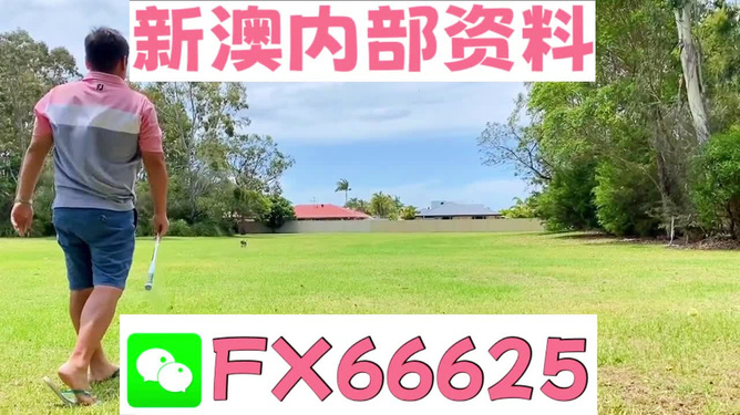 王中王一碼二肖，揭秘背后的秘密，揭秘王中王一碼二肖背后的秘密