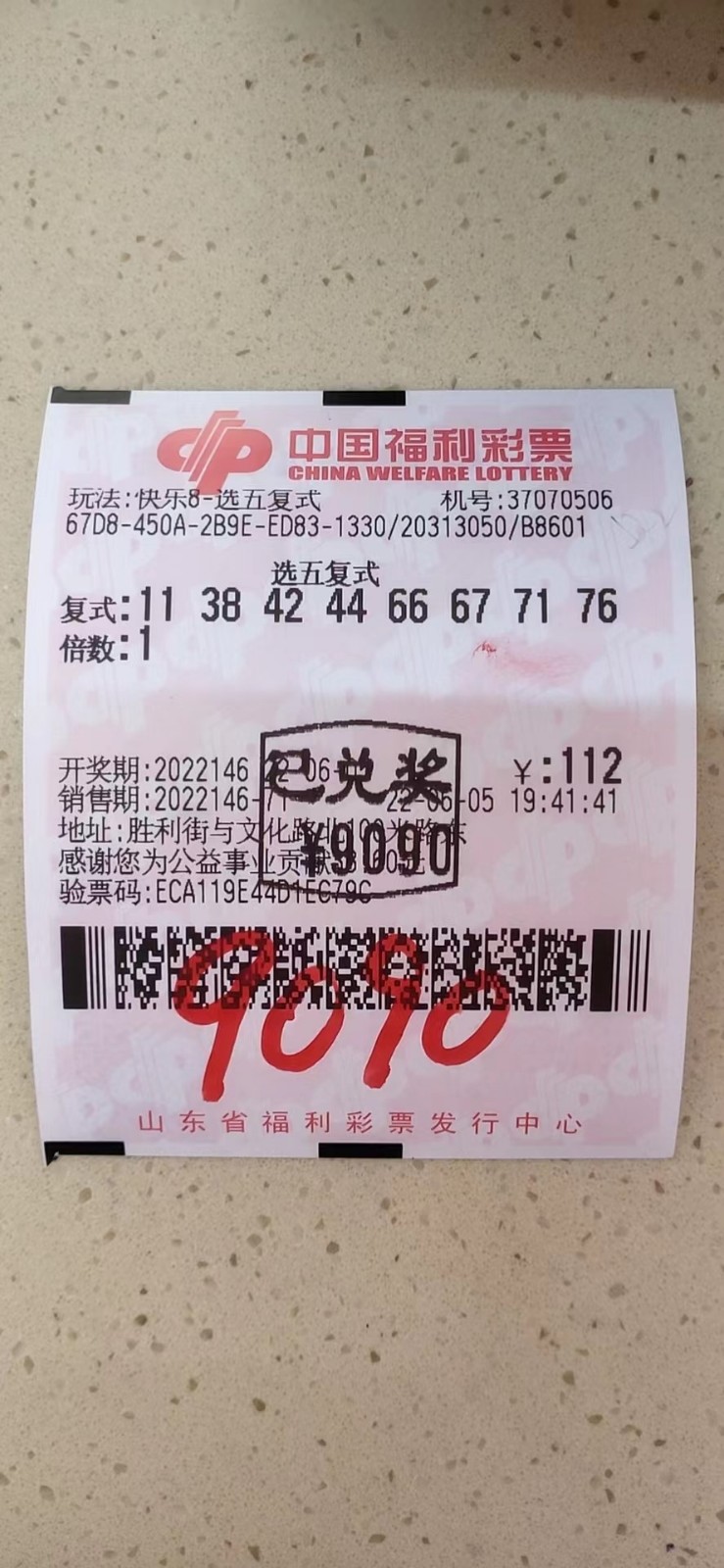 揭秘002期王中王平特一肖，背后的故事與奧秘，揭秘王中王平特一肖背后的故事與奧秘（第002期）
