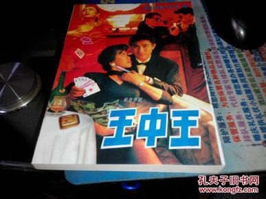 王中王資料一肖中特小說，深度解析與探索，王中王資料一肖中特小說的深度解析與探索之旅