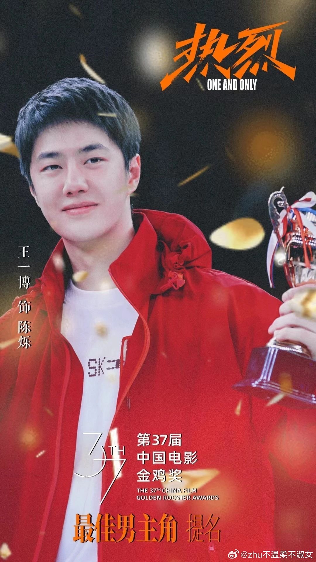 王中王一肖一特一中一中，探尋背后的故事與奧秘，探尋王中王一肖背后的故事與奧秘