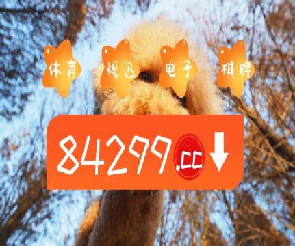 澳門天天開彩好正版掛牌第168期，探索彩票的魅力與策略，澳門彩票探索，魅力與策略揭秘 第168期正版掛牌開彩體驗(yàn)