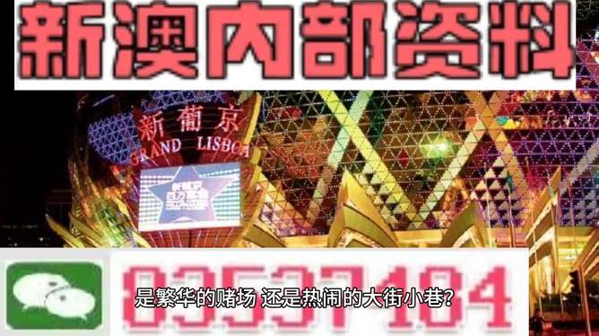 新澳門精準(zhǔn)資料大全管家婆料，探索與解析，澳門精準(zhǔn)資料大全解析，探索管家婆料內(nèi)幕