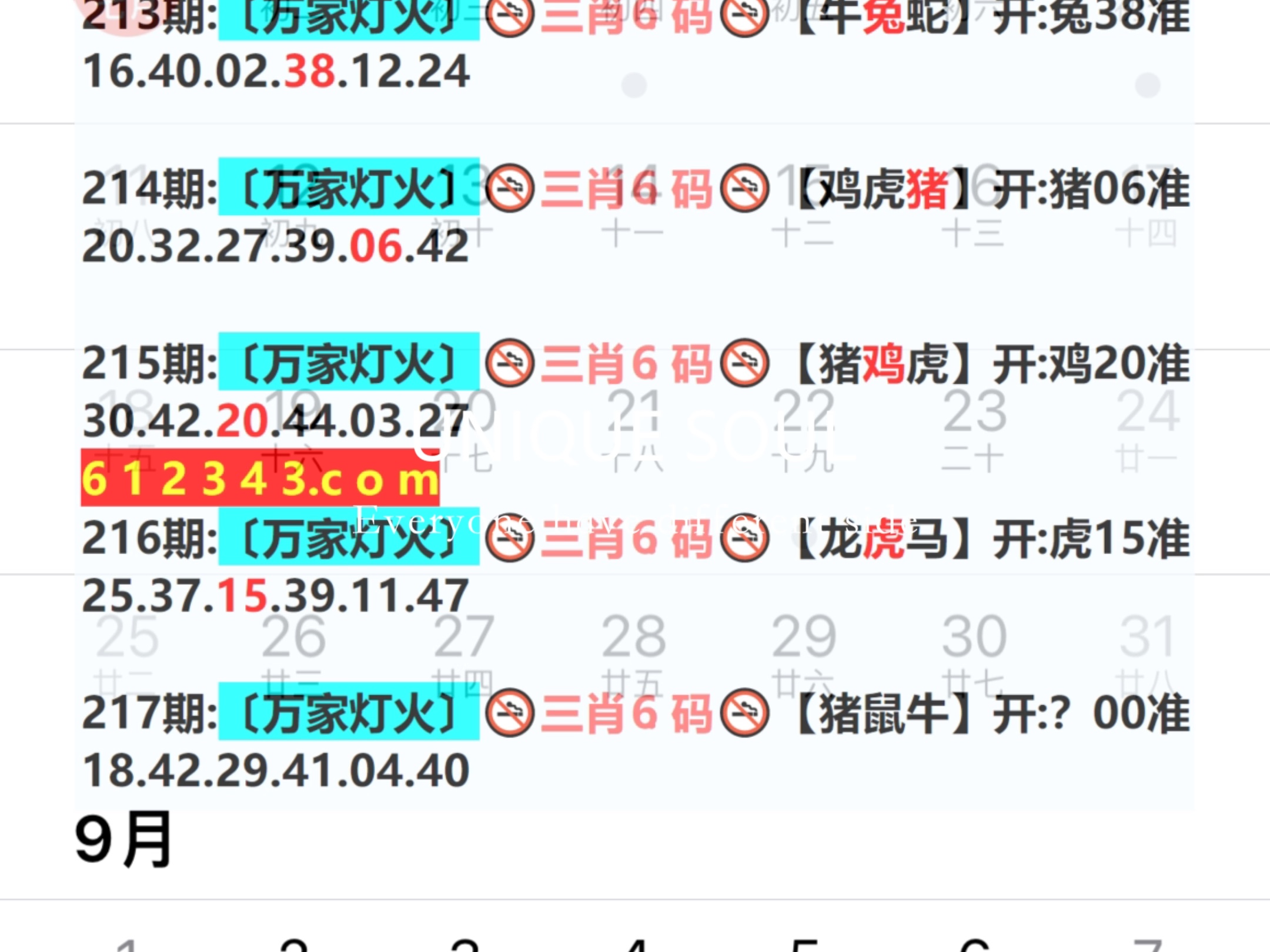 新奧今日六肖中特，揭秘背后的秘密與趨勢分析，揭秘新奧今日六肖中特背后的秘密與趨勢分析