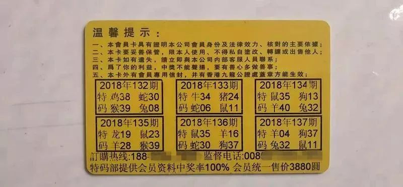 香港中特期期準(zhǔn)資料，深度解析與探索，香港中特期期準(zhǔn)資料深度解析與探索報(bào)告