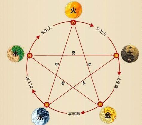 鐵算算盤4887最準(zhǔn)資料，揭秘其背后的秘密與優(yōu)勢(shì)，揭秘鐵算算盤4887，最準(zhǔn)資料背后的秘密與優(yōu)勢(shì)