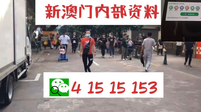 澳門管家婆一馬一中一開，揭秘背后的秘密與策略，澳門管家婆一馬一中一開，揭秘背后的秘密與策略揭秘背后的秘密與策略