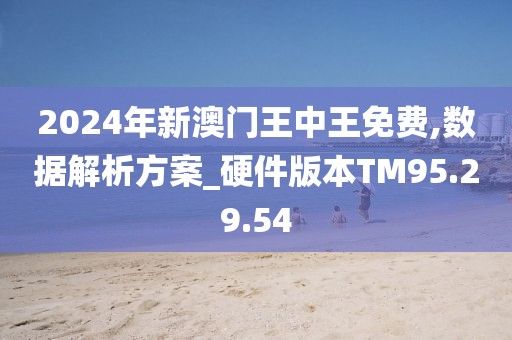 揭秘未來之星，2025新澳王中王，揭秘未來之星，2025新澳王中王風采展示