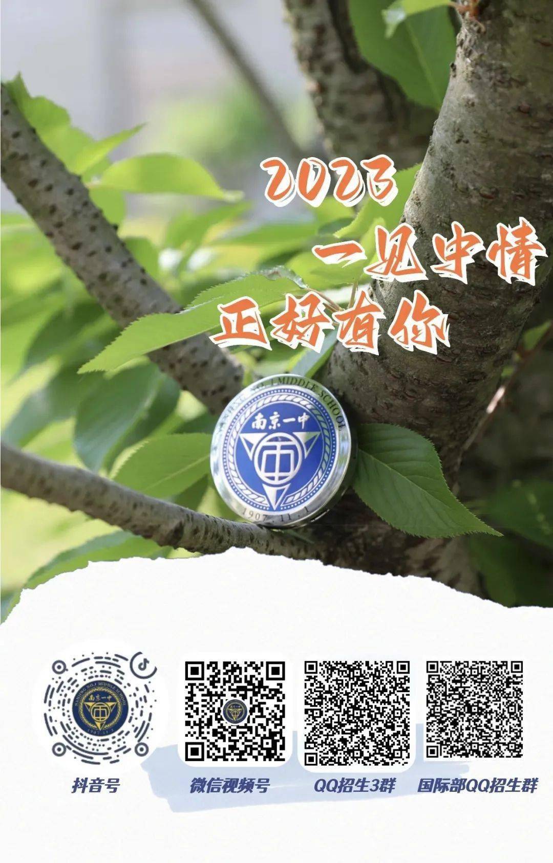 一碼一肖一特一中，揭秘背后的秘密與奧秘，揭秘一碼一肖一特一中背后的秘密奧秘