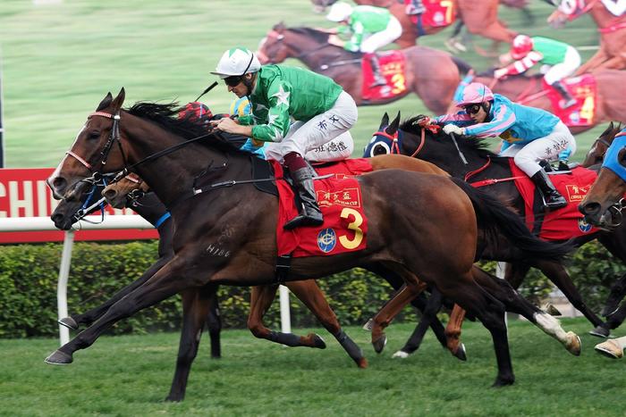 探索香港馬官網(wǎng)，一站式體驗7777788888的賽馬世界，探索香港馬官網(wǎng)，一站式賽馬世界體驗