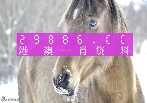 澳門一肖一碼，揭秘一個關(guān)于精準(zhǔn)預(yù)測背后的故事，澳門一肖一碼揭秘，精準(zhǔn)預(yù)測背后的神秘故事