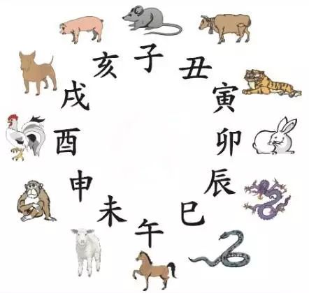 澳門天天彩期期精準(zhǔn)十二生肖預(yù)測(cè)——揭秘彩票秘密，澳門天天彩期期精準(zhǔn)十二生肖預(yù)測(cè)，揭秘彩票秘密之獨(dú)家解析