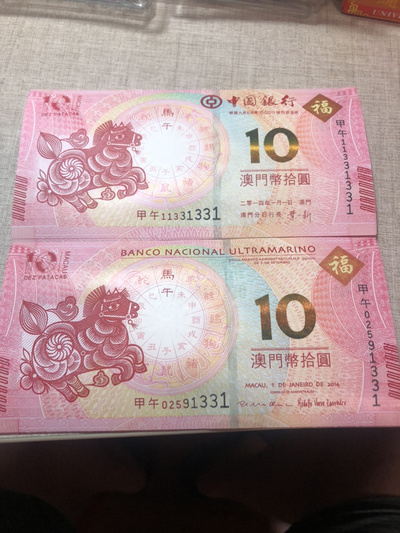 揭秘明天澳門必中生肖的神秘面紗，揭秘明天澳門必中生肖的神秘秘密