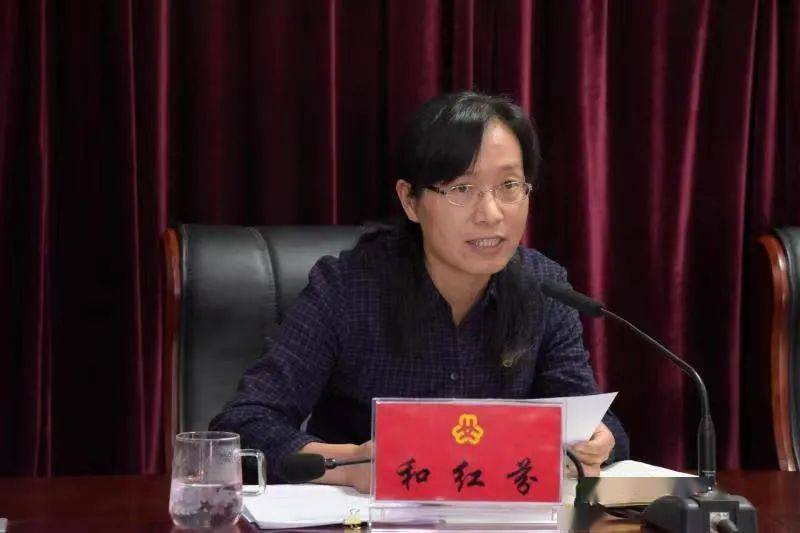 二四六香港期期中的資料解析與SEO優(yōu)化策略，香港期期二四六資料解析與SEO優(yōu)化策略探討