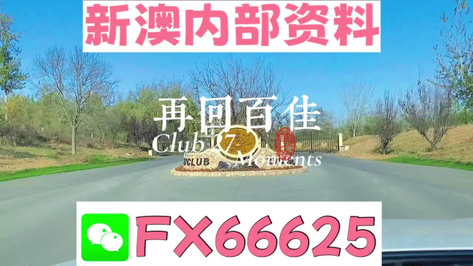 澳彩全年免費(fèi)資料大全——探索澳彩的世界與免費(fèi)資料資源，澳彩全年免費(fèi)資料大全，澳彩世界與免費(fèi)資源探索
