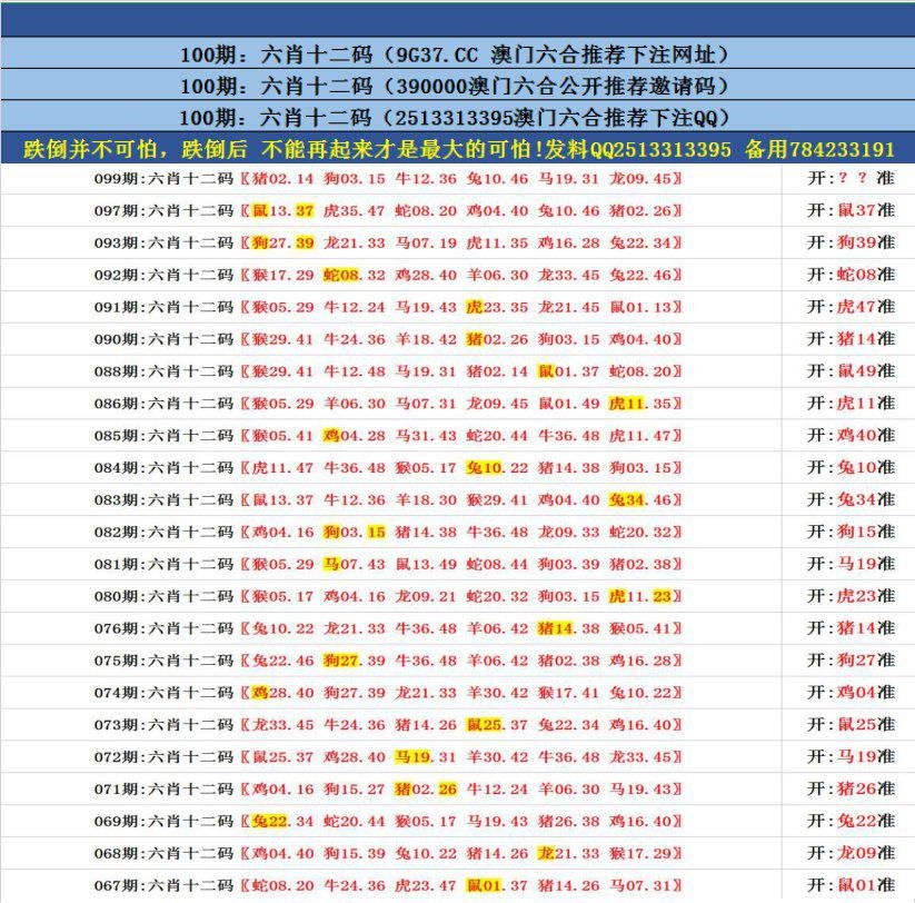 澳門無錯九肖今日搜狗，探索與解析，澳門無錯九肖今日搜狗，深度解析與探索