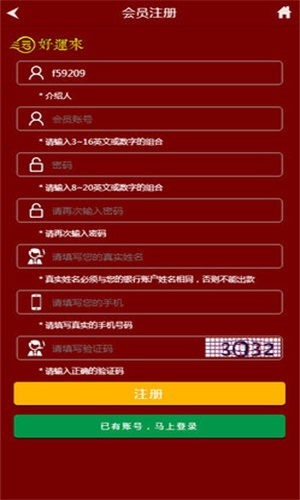 管家婆王中王開獎結果十記錄香港，深度分析與觀察，香港管家婆王中王開獎結果十記錄深度分析與觀察報告