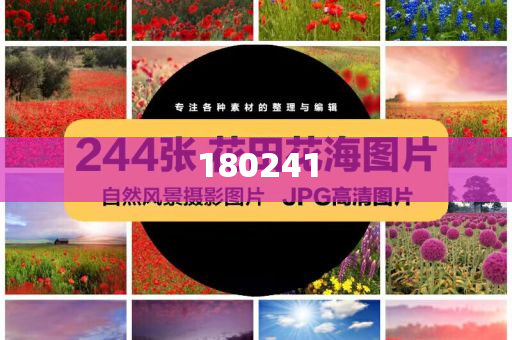 揭秘精準(zhǔn)管家婆狗，77777與88888的神秘面紗，揭秘精準(zhǔn)管家婆狗，神秘?cái)?shù)字77777與88888背后的秘密