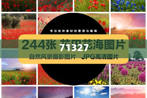探索777788888管家婆網(wǎng)，一站式解決方案的綜合服務(wù)平臺(tái)，一站式解決方案的綜合服務(wù)平臺(tái)，探索777788888管家婆網(wǎng)