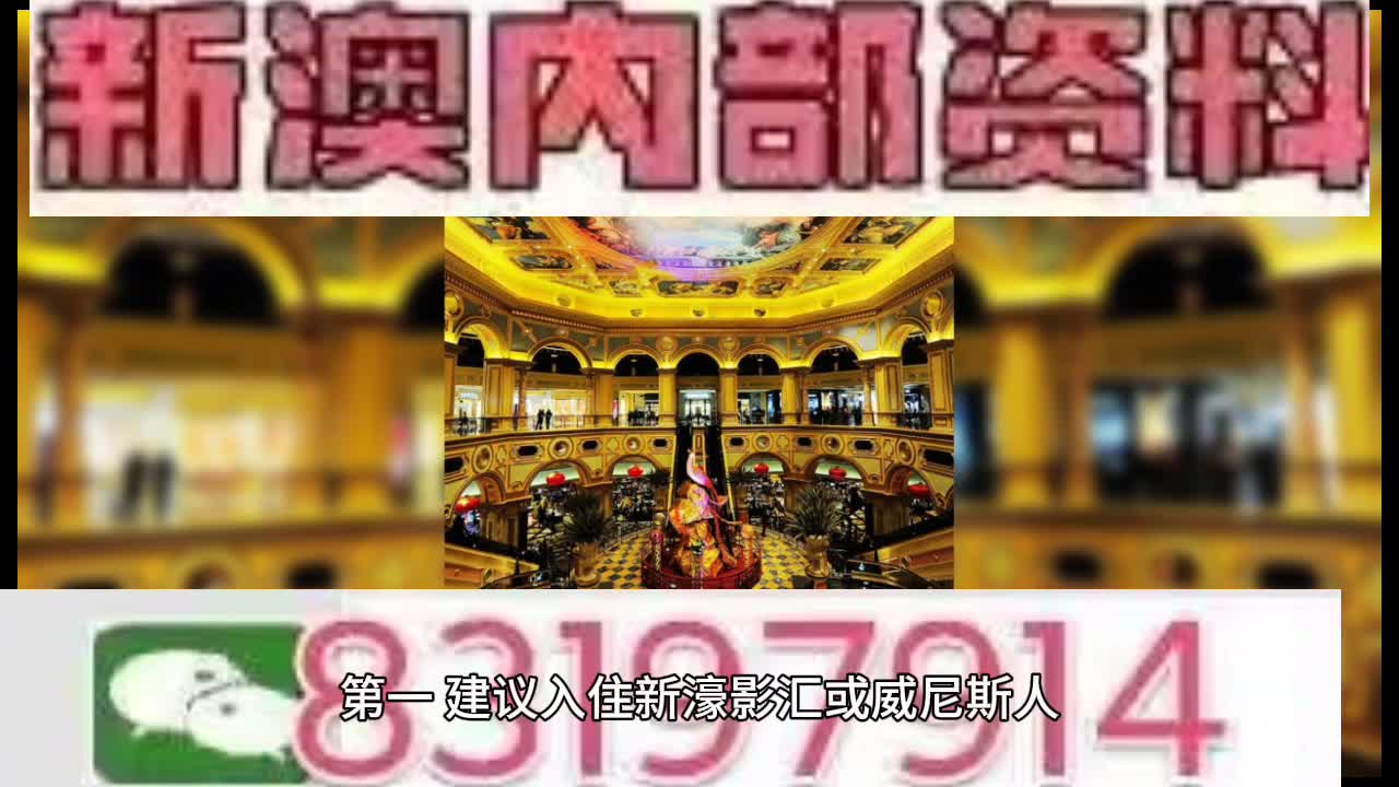 新澳門特馬王，探索與解析，新澳門特馬王，深度探索與解析