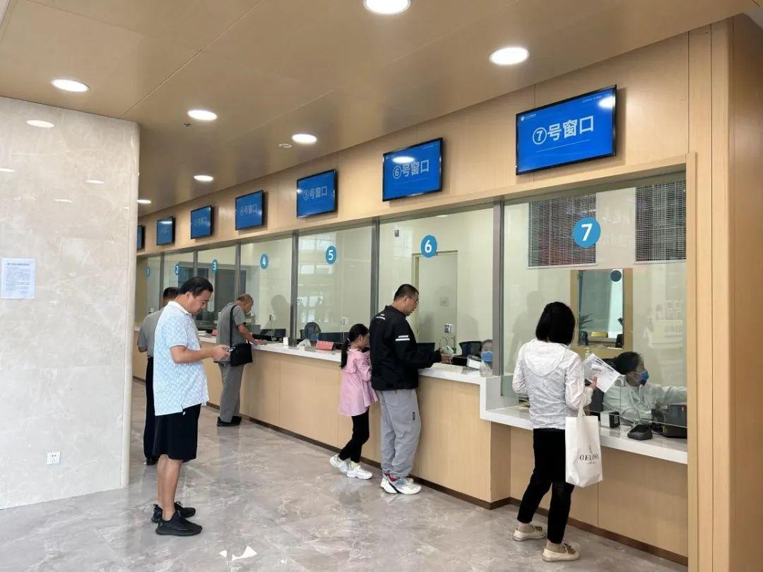 新門內(nèi)部資料免費下載——探索與揭秘，新門內(nèi)部資料揭秘，免費下載與探索之旅