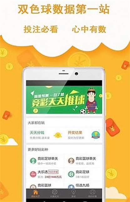 王中王493333中特網(wǎng)，探索與解析，王中王493333中特網(wǎng)，深度探索與解析