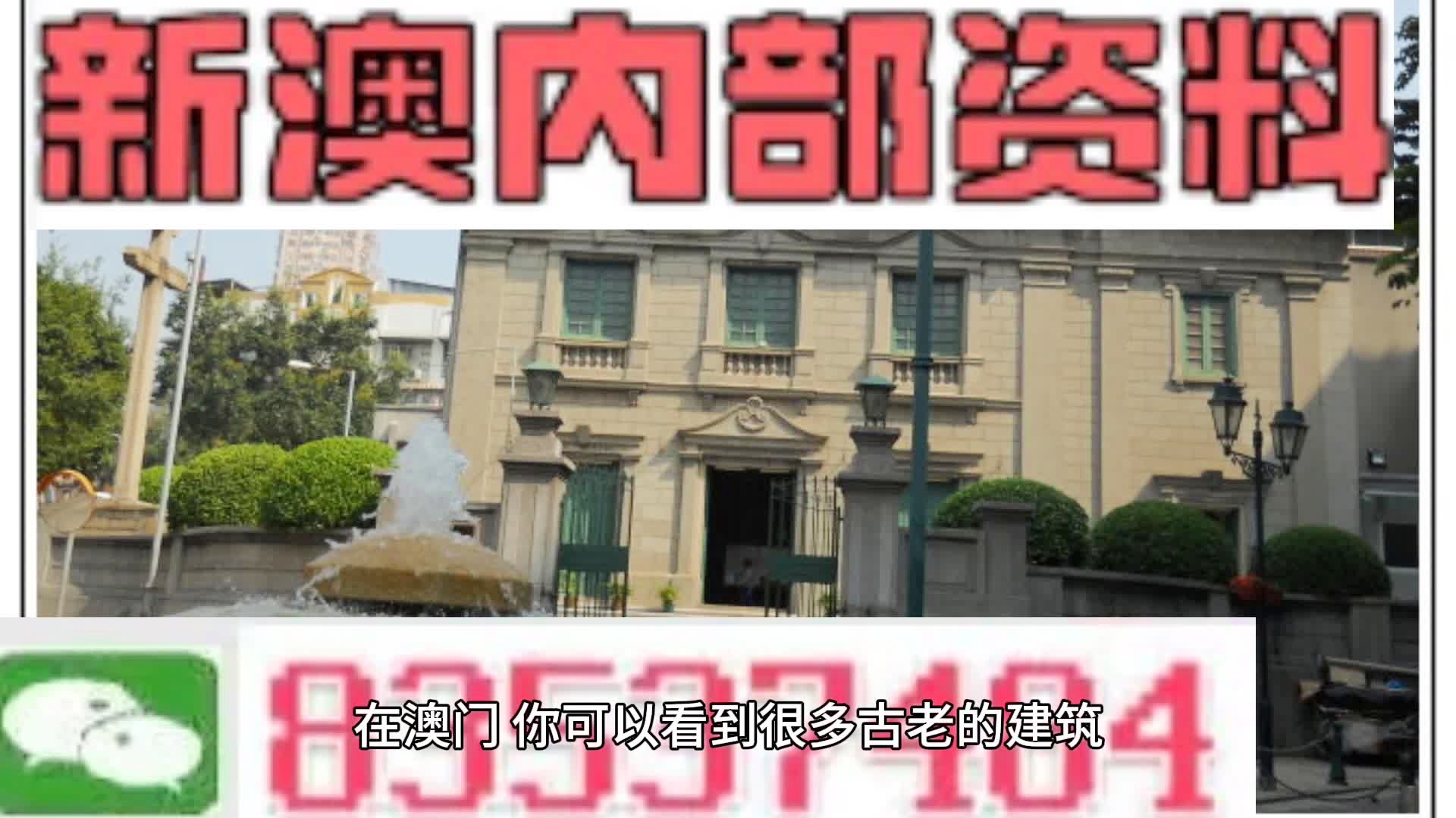 新門內(nèi)部資料大全更新，掌握最新資源，引領(lǐng)行業(yè)前沿，新門內(nèi)部資料更新引領(lǐng)行業(yè)前沿掌握最新資源大全