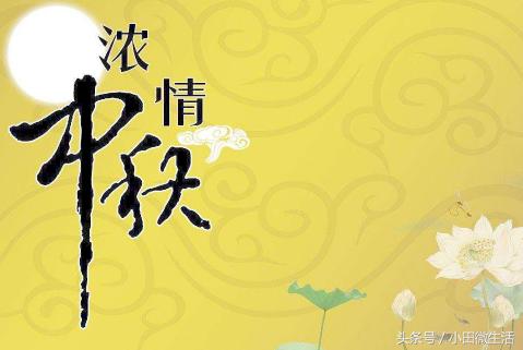 天天開(kāi)好彩免費(fèi)資料大全——你不可錯(cuò)過(guò)的幸運(yùn)之門，天天開(kāi)好彩免費(fèi)資料大全——開(kāi)啟幸運(yùn)之門的必備指南
