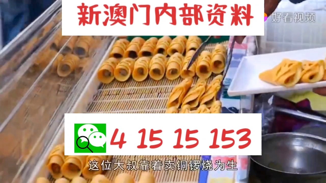 澳門天天好彩66，展望未來的美好愿景與探索（2025年），澳門天天好彩66，展望未來美好愿景與探索（2025展望）